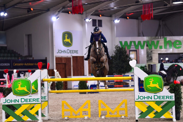 Show Jumper Quinton jumping over obstacles