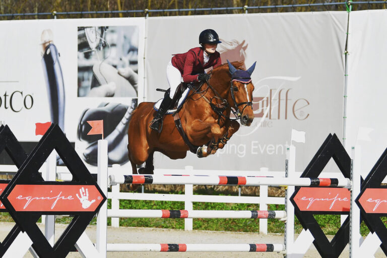 Show Jumper Quidam vom Ilum with Emilie Stampfli jumping over obstacle