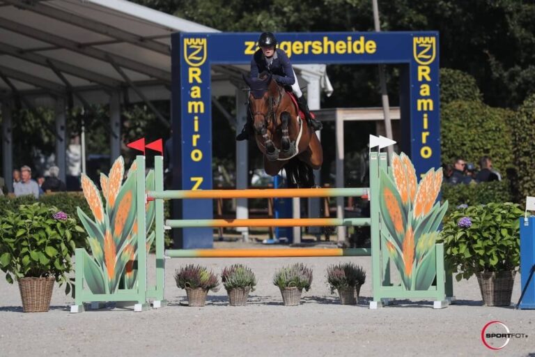 Show Jumper Flint with Emilie Stampfli jumping over obstacle