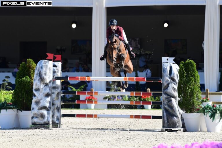 Show Jumper Vincent with Emilie Stampfli jumping over obstacle